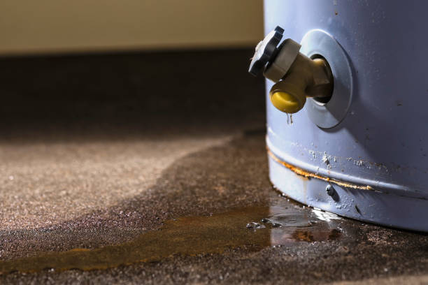 Professional Water damage restoration in NE