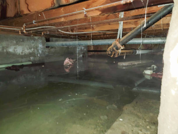 Best Fire Damage Restoration  in Seward, NE
