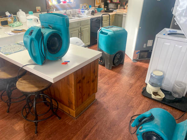 Best Carpet water damage restoration  in Seward, NE