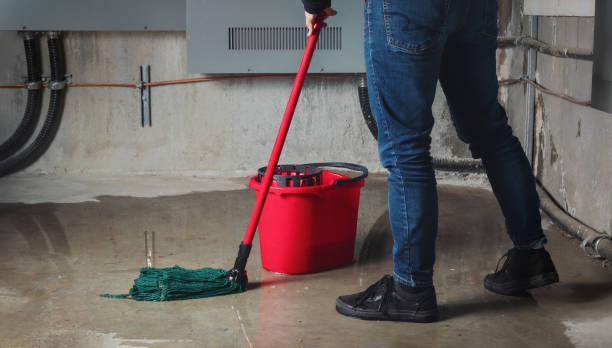 Best Flood restoration services  in Seward, NE