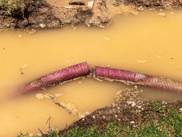 Best 24/7 water damage repair  in Seward, NE