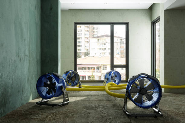 Best Water damage contractors near me  in Seward, NE