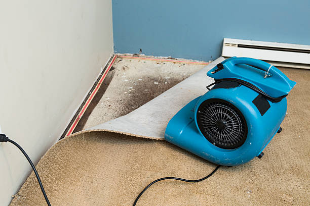Best Residential water damage restoration  in Seward, NE